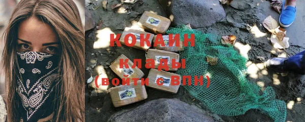 винт Липки