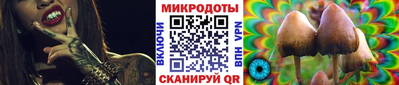 закладки  МЕГА маркетплейс  Галлюциногенные грибы мухоморы  Иваново 