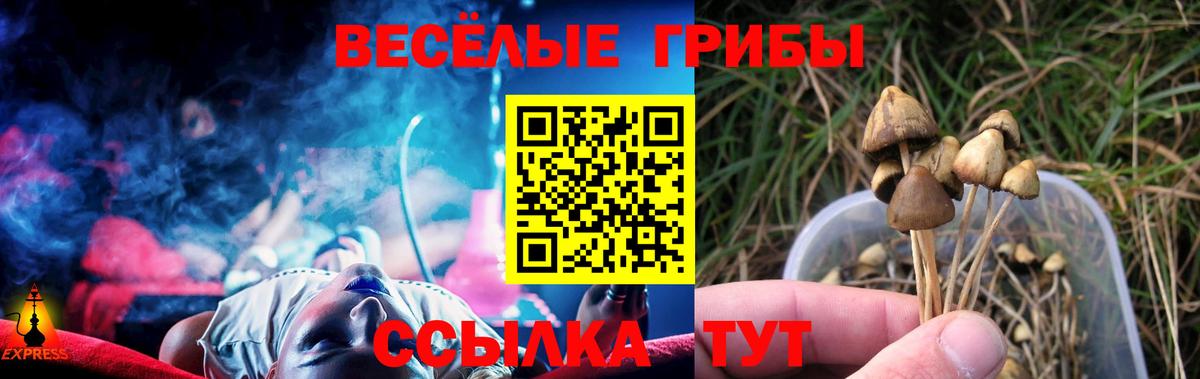 Галлюциногенные грибы Psilocybine cubensis Иваново